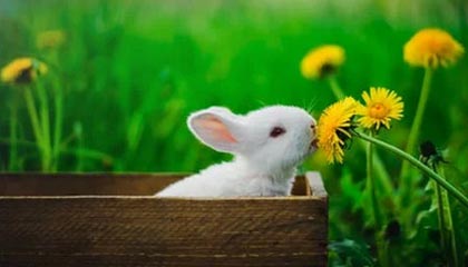 kaiyun体育综合-上海申花遭遇连败，卓尔主场先拔头筹，上海申花2_2武汉卓尔